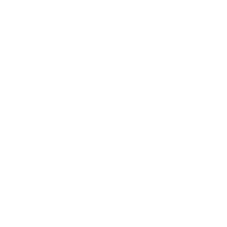 data/ui/fhd/base/icon_content/attributes/icon_2d_fire_safety.png