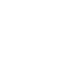 data/ui/fhd/base/icon_content/attributes/icon_2d_income.png