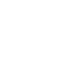 data/ui/fhd/base/icon_content/attributes/icon_2d_prestige.png