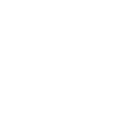 data/ui/fhd/base/icon_content/attributes/icon_2d_techtree_knowledge.png