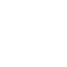 data/ui/fhd/base/icon_content/city_incident/icon_2d_fighting_fire.png