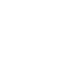 data/ui/fhd/base/icon_content/city_incident/icon_2d_fighting_riot.png