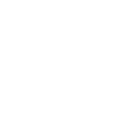 data/ui/fhd/base/icon_content/city_incident/icon_2d_incident_minor_riot.png