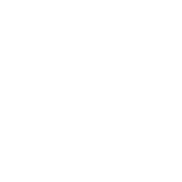 data/ui/fhd/base/icon_content/colosseum/icon_2d_colosseum_phase_base.png