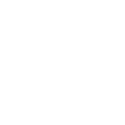 data/ui/fhd/base/icon_content/diplomacy/icon_2d_reputation.png