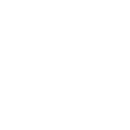 data/ui/fhd/base/icon_content/diplomacy/icon_2d_state_consul.png