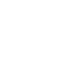 data/ui/fhd/base/icon_content/diplomacy/icon_2d_state_rebel.png