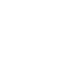 data/ui/fhd/base/icon_content/diplomacy/icon_2d_war_total.png