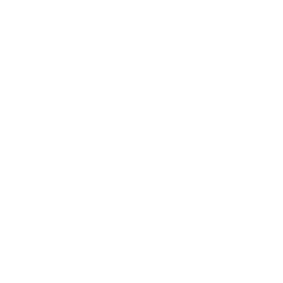 data/ui/fhd/base/icon_content/generic/icon_2d_filter_goods_raw.png