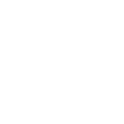 data/ui/fhd/base/icon_content/generic/icon_2d_permit_shrine.png