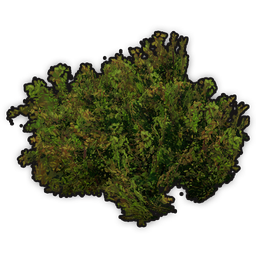 data/ui/fhd/base/icon_content/ornaments/icon_3d_shrub_lush.png