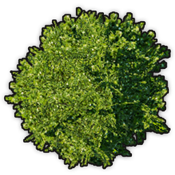 data/ui/fhd/base/icon_content/ornaments/icon_3d_shrub_small.png