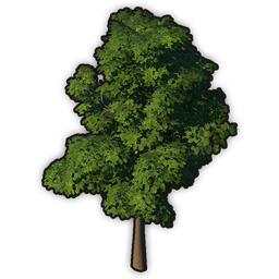 data/ui/fhd/base/icon_content/ornaments/icon_3d_tree_celtic_lush.png