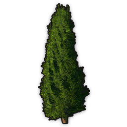 data/ui/fhd/base/icon_content/ornaments/icon_3d_tree_roman_coniferous.png
