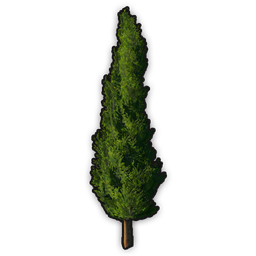 data/ui/fhd/base/icon_content/ornaments/icon_3d_tree_roman_cypress.png
