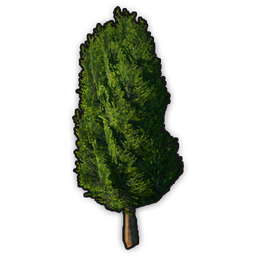 data/ui/fhd/base/icon_content/ornaments/icon_3d_tree_roman_trimmed.png