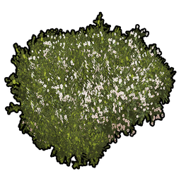 data/ui/fhd/base/icon_content/ornaments/icon_3d_wildflowers_white.png