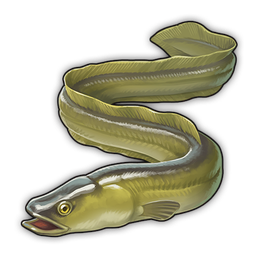 data/ui/fhd/base/icon_content/production_goods/icon_3d_eels_goods.png