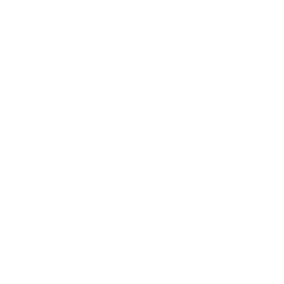 data/ui/fhd/base/icon_content/workforce/icon_2d_aldermen_workforce_albion.png