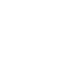 data/ui/fhd/base/icon_content/workforce/icon_2d_equites_workforce_roman.png