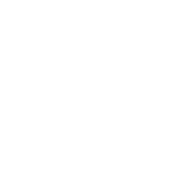 data/ui/fhd/base/icon_content/workforce/icon_2d_libertus_workforce_roman.png