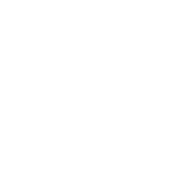 data/ui/fhd/base/icon_content/workforce/icon_2d_mercators_workforce_albion.png
