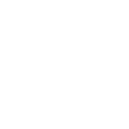 data/ui/fhd/base/icon_content/workforce/icon_2d_patricians_workforce_roman.png