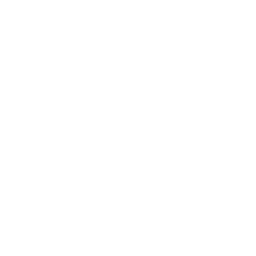 data/ui/fhd/base/icon_content/workforce/icon_2d_plebeians_workforce_roman.png