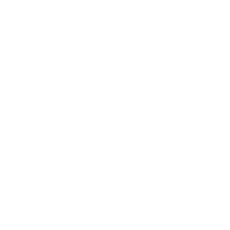 data/ui/fhd/base/icon_content/workforce/icon_2d_smiths_workforce_albion.png