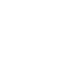data/ui/fhd/base/icon_content/workforce/icon_2d_walders_workforce_albion.png