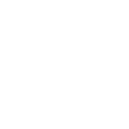 data/ui/fhd/dlc02/icon_content/race_event/icon_2d_racer_boost.png