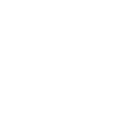 data/ui/fhd/dlc02/icon_content/race_event/icon_2d_racer_consistency.png