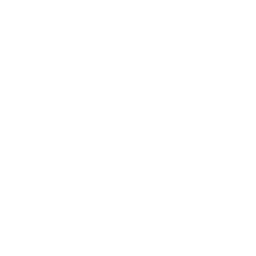 data/ui/fhd/dlc02/icon_content/race_event/icon_2d_racer_speed.png