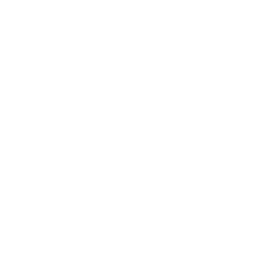 data/ui/fhd/dlc02/icon_content/race_event/icon_2d_star_6.png